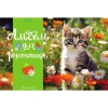 Альбом для рисования 16 л.A4 Хатбер Пушистые малыши