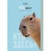 8127